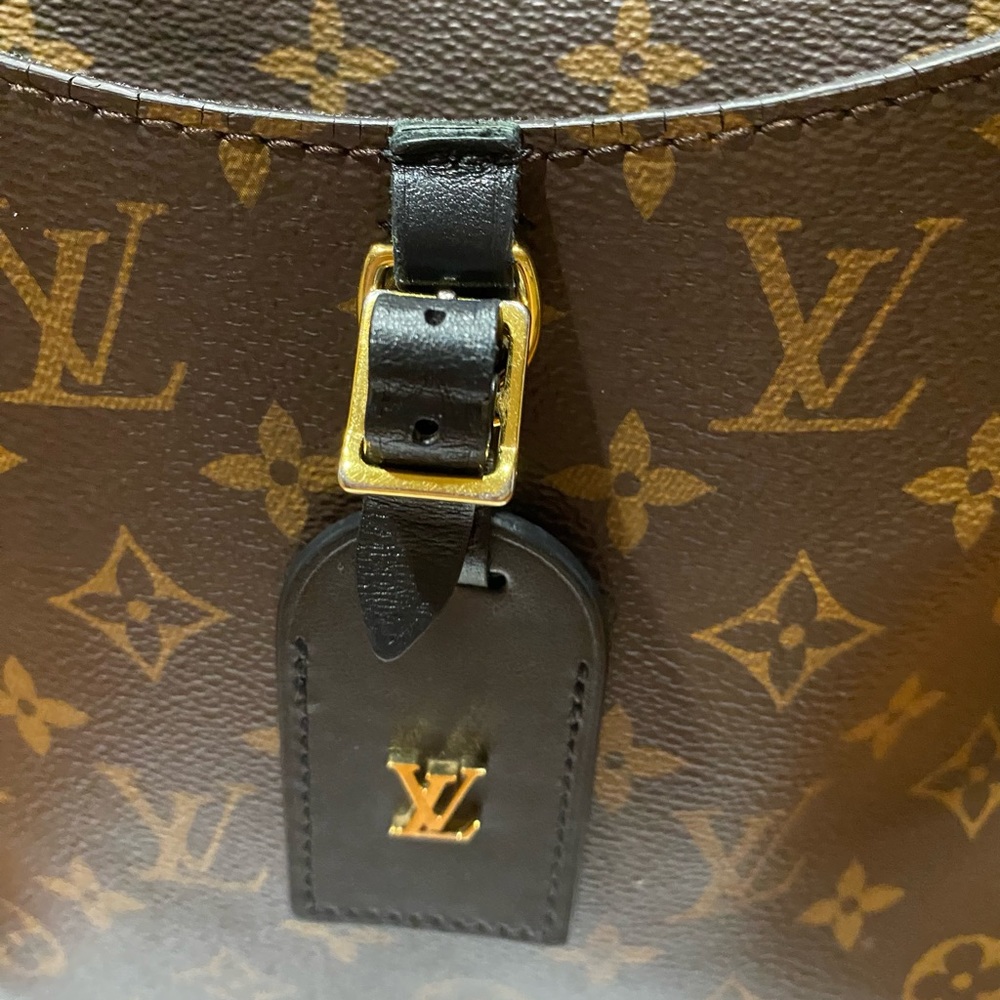 Louis Vuitton Odeon MM